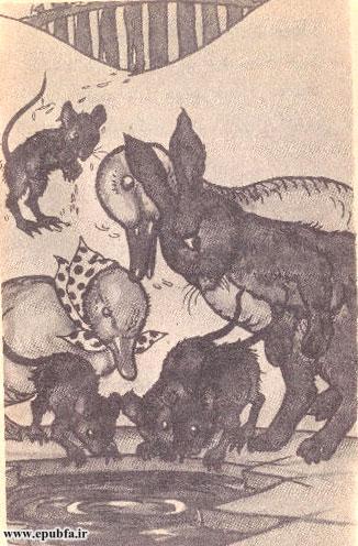 آنگاه همگی دور سوراخ آب جمع شدند و در آب نگاه کردند.